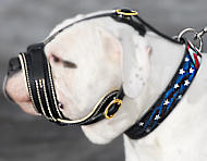American Bulldog Leather Dog Muzzle-Anti Barking Muzzle American Bulldog Leather Dog Muzzle-Anti Barking Muzzle