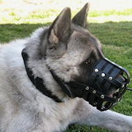 Leather Basket Dog Muzzle for All Breed Dogs Leather Basket Dog Muzzle for All Breed Dogs