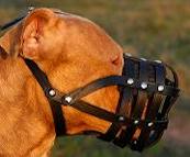 Dog Muzzle Stress Free For PitBull Dog Muzzle Stress Free For PitBull