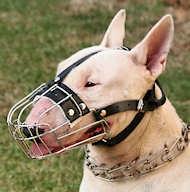 English Bull Terrier Basket Muzzle - Cage Wire Dog Muzzle For English Bull Terrier English Bull Terrier Basket Muzzle - Cage Wire Dog Muzzle For English Bull Terrier