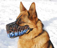 German shepherd 2024 mouth guard