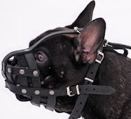 French Bulldog Light Weight Ventilation-small leatthe muzzle M41 French Bulldog Light Weight Ventilation-small leatthe muzzle M41